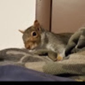 Meet your Posher, Davey